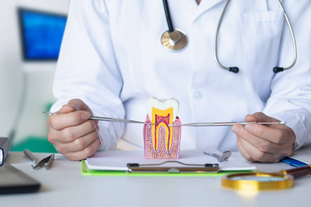 Best Emergency Orthodontic Repairs in Union Mill, VA